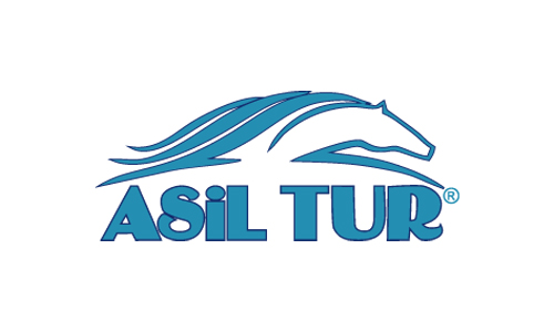 asil-tur