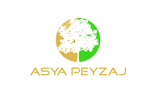 asya-peyzaj